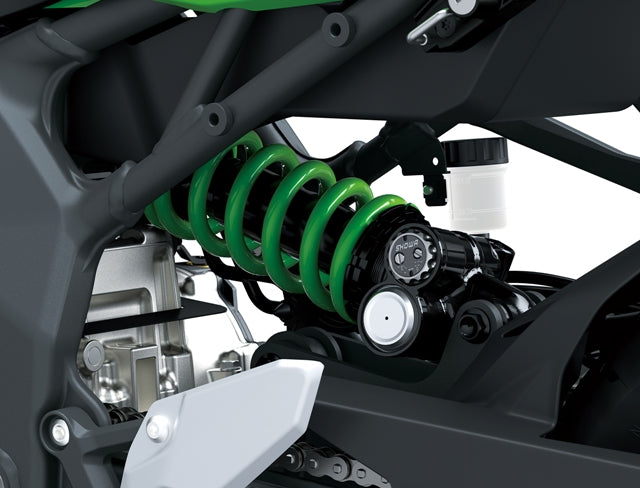 Kawasaki Ninja ZX-4RR 2026.