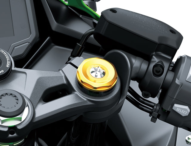 Kawasaki Ninja ZX-4RR 2026.