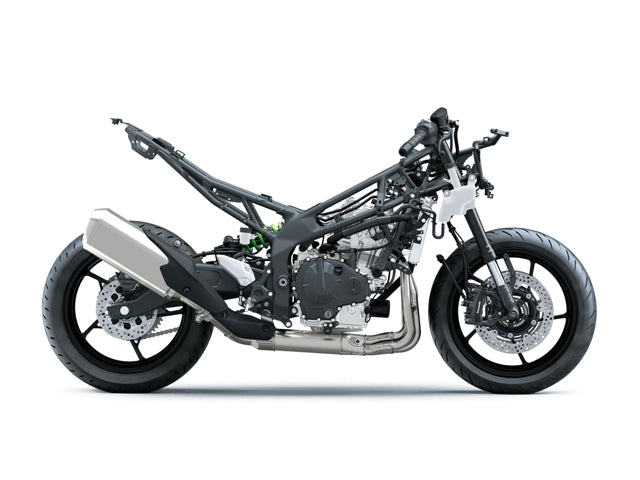 Kawasaki Ninja ZX-4RR 2026.
